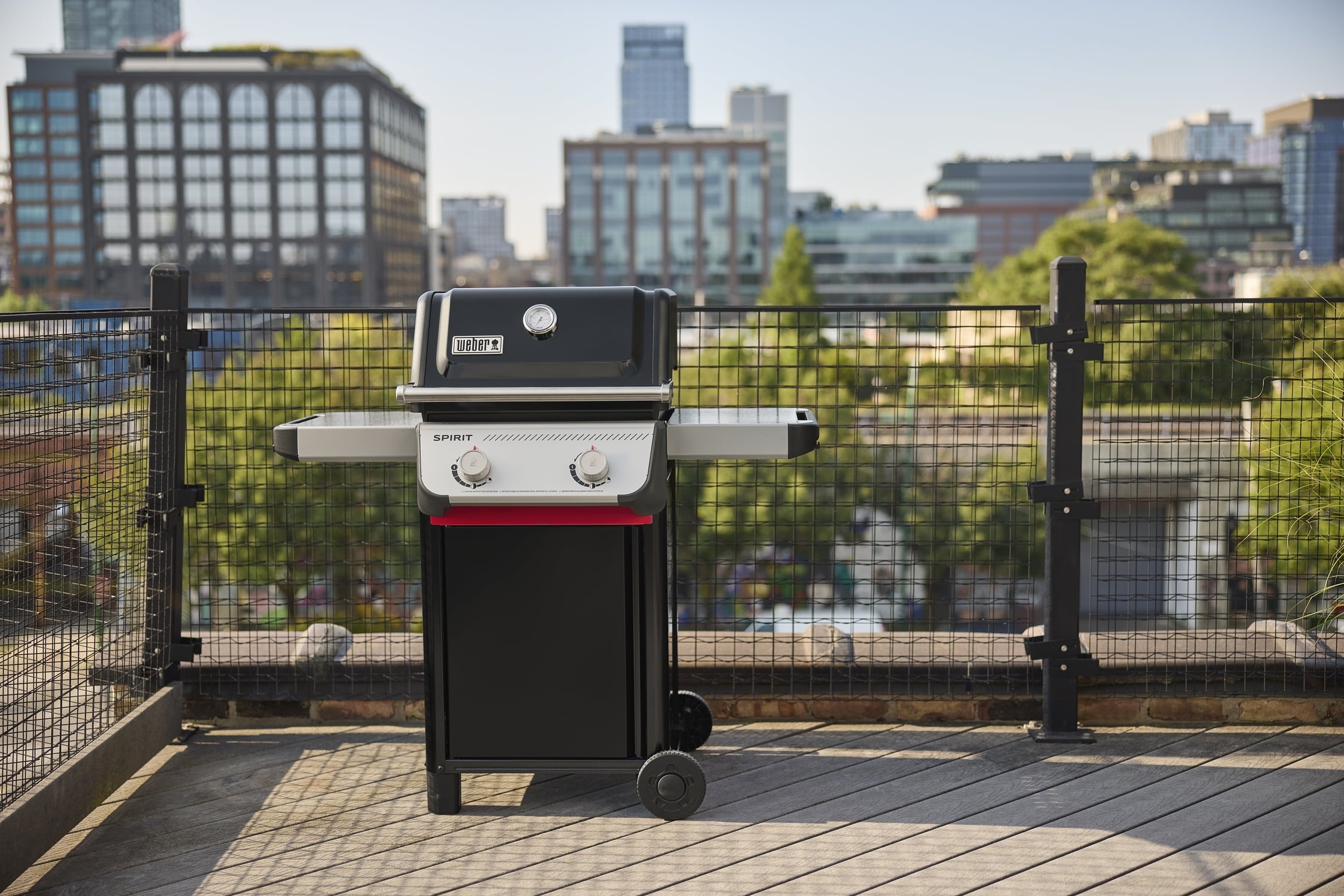 Weber Spirit Gas Grill, E-210 2 Burner Propane Gas Grill with Wheels, Black